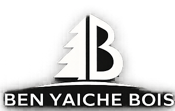 benyaichebois.ma