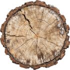 Oak Timber Logs